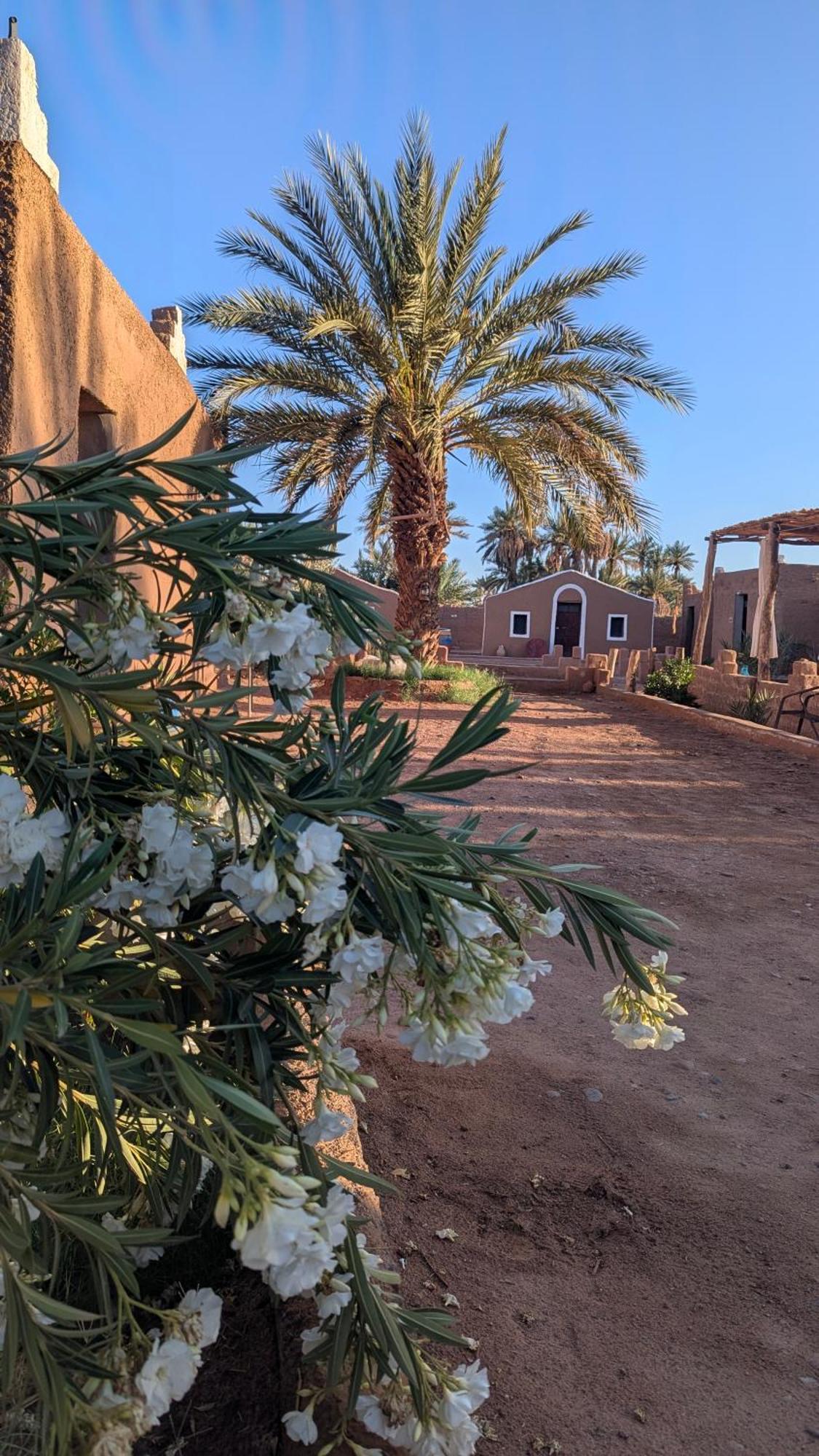 Kasbah Desert Camp M'Hamid Exterior foto